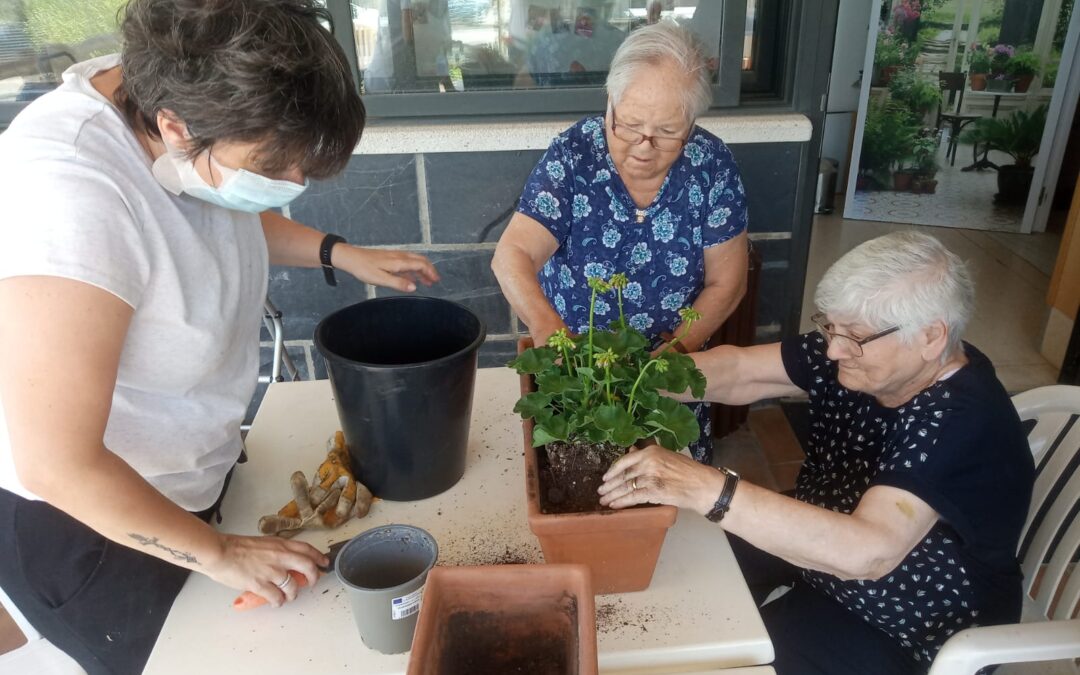 JARDINERIA